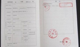 房产证怎么填写内容(房产证件怎么填)