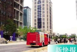 大安栗子房产怎么样(大栗子派出所电话)