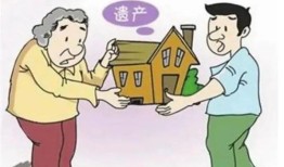 继承房产被拍卖怎么办(房产继承强制拍卖损失大吗)
