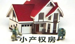 商住兩房产拆扦怎么赔偿(商住两用房拆了怎么赔会比买的价格低吗)