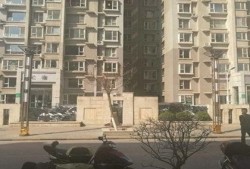 中正房产上班怎么样(中正房地产公司)