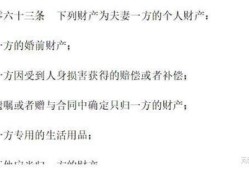 继承财产保护房产怎么办(继承法财产)