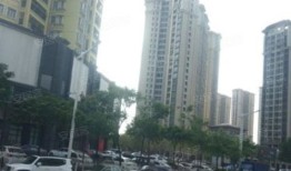 阳江房产中介怎么样(阳江房地产中介哪个好)