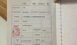 没发房产证怎么查询(没有发房产证能查到房产吗)