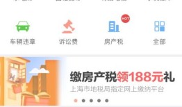 个人房产税网上怎么缴纳(个人房产税在哪个app交)