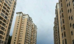 上海德佑房产怎么样(上海德佑豪宅真实待遇)
