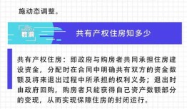 房产共有人占比怎么查(房产共有人占比怎么查询)
