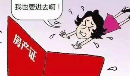 房产证字号怎么看(房产证字号是什么意思)