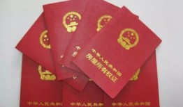 房产证名字产权怎么分(房产证上的名字根据什么定)