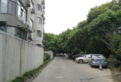 百合房产怎么样(百合小区二期-1幢怎么样)