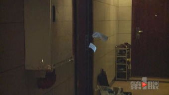 小孩哥在酒店窗台意外发现化石的奇妙之旅