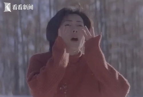 中山美穗死因公布
