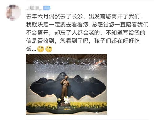 袁隆平夫人墓园祭扫，亲友搀扶下深情缅怀