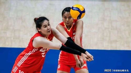 女排联赛，中国女排攀升至第六