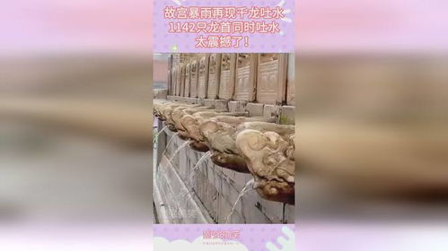 北京暴雨故宫再现千龙吐水