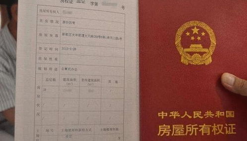 网签房产证怎么写(网签房本)