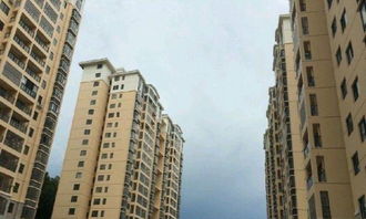 上海德佑房产怎么样(上海德佑豪宅真实待遇)