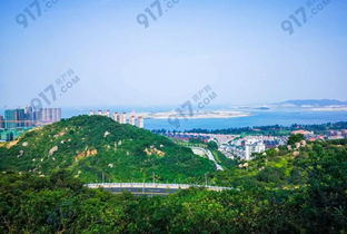 漳州港投资房产怎么样(漳州港投资房产怎么样啊)