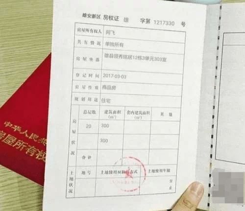 没办房产证怎么查询业主(没办房产证怎么查房产证号)