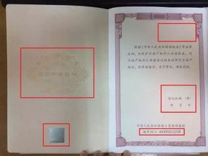 买房怎么确定房产证(买房怎么能知道房证能不能下来)