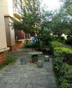 抚顺金诺房产怎么样(金诺房地产)