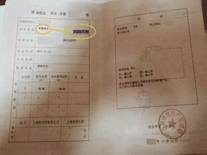 买了房怎么拿房产证(买的房子怎么办房产证)