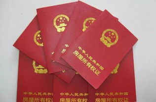 房产证名字产权怎么分(房产证上的名字根据什么定)
