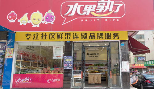 房产家政吉祥店怎么样(家政房产中介)