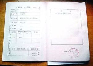 拿到房产证怎么查询真伪(如何得知房产证下来)