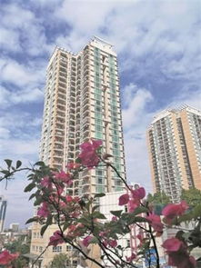 东莞房产销售怎么样(在东莞做房产销售怎么样?
