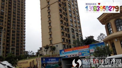 济宁金鼎房产怎么样(济宁金鼎装饰公司)